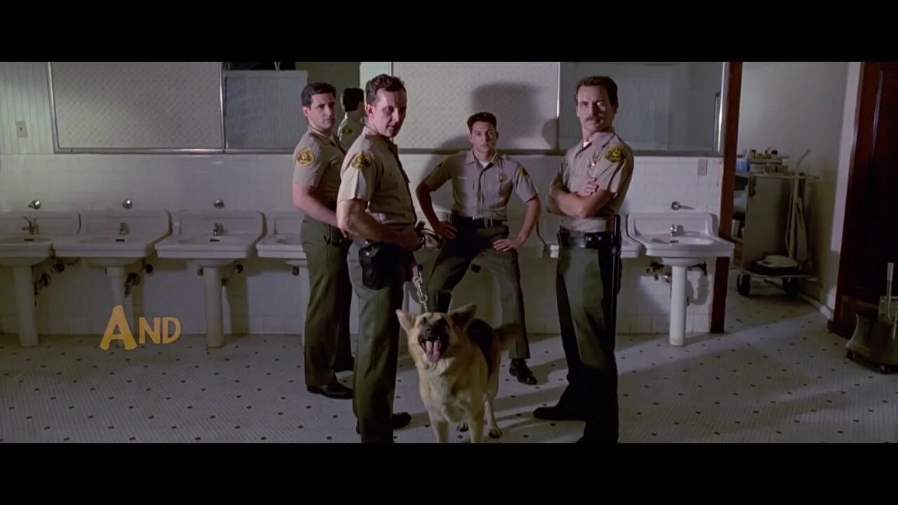 Бешеный пес экстра 8. Бешеные псы (1991). Мистер рыжий бешеные псы.