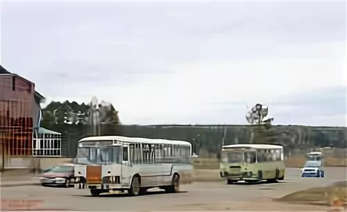 Автобусы в зеленогорск. Зеленогорск 21 километр автобус. Старая деревня зеленогорск. Зеленогорск 21 километр автобус. Зеленогорск 21 километр автобус.