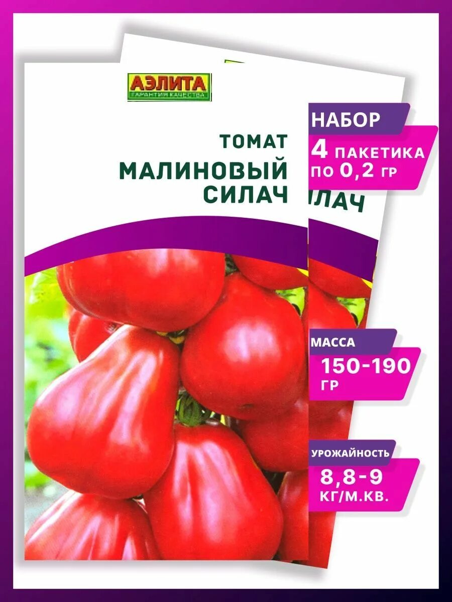 Томат силач. Малиновый силач томат высота. Малиновый силач томат характеристика. Томат малиновый силач характеристика