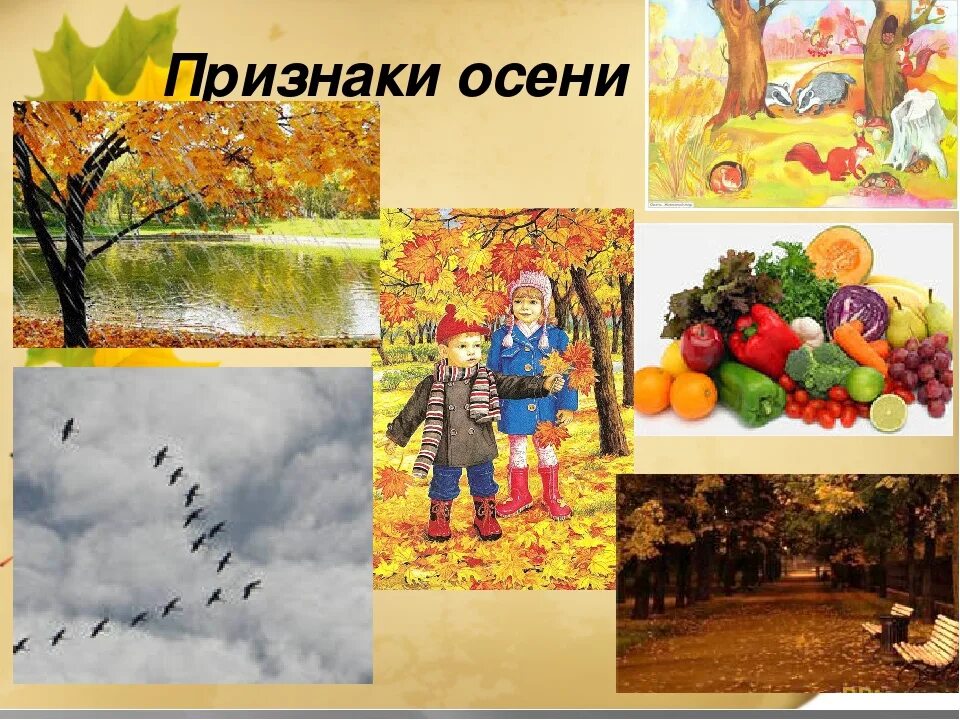 Осенние 2 недели