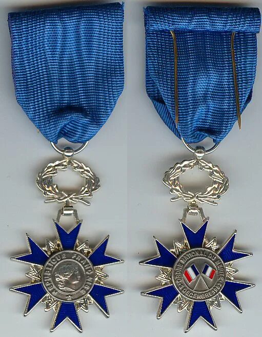 франция орден заслуг. орден морских заслуг франция. орден за заслуги франция. орден за заслуги франция. французские ордена и медали.