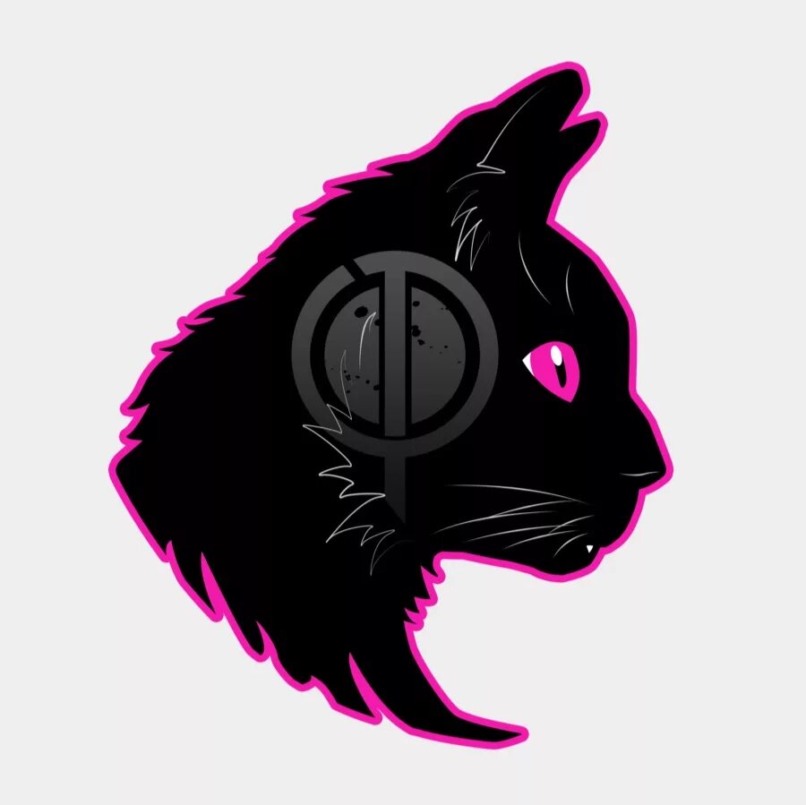 Кот на аву. Авы стендофф 2 коты. Аватар кот. Аватар для дискорда кот. Супер котик.