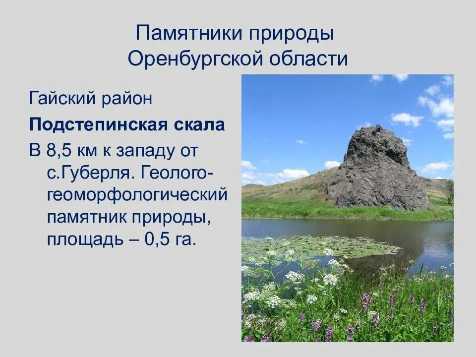 Памятники природы Адамовского района Оренбургской области. Памятники природы проект. Презентация на тему рельеф Оренбургской области. Презентация на тему памятники природы. Характеристика памятников природы