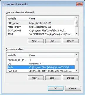 Process environment variables
