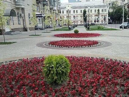 Характерная площадь