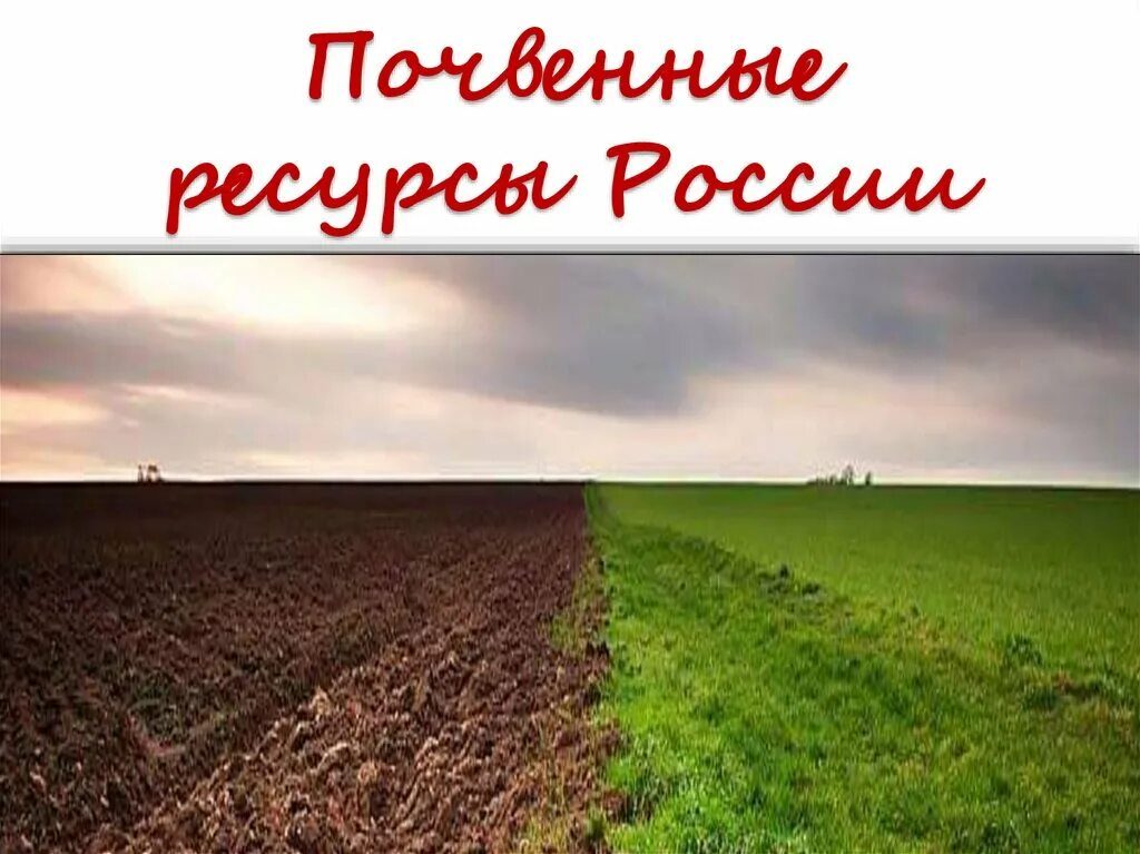 Почвенные ресурсы. Почвенно-земельные ресурсы. Почвенные ресурсы России. Почвы и почвенные ресурсы.