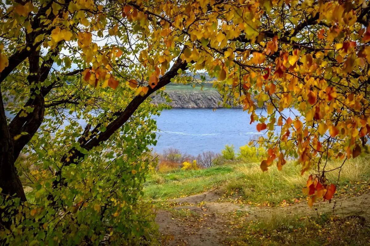 Осень очей очарованье. Золотая осень очей очарованье. Очарование осени