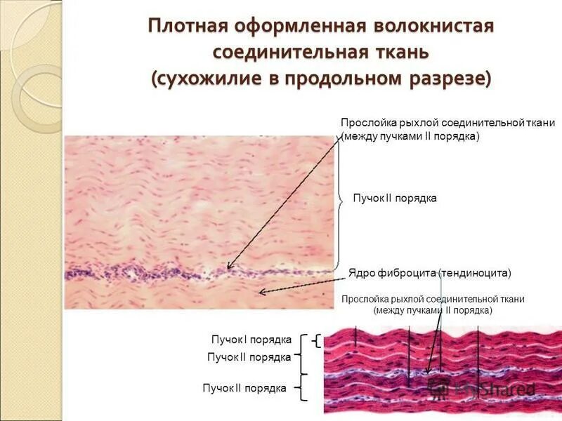 Плотная оформленная ткань