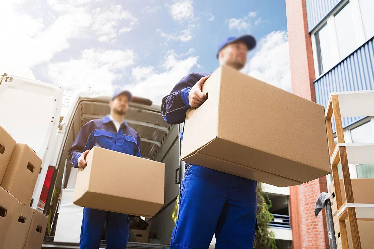 Package has shipped
