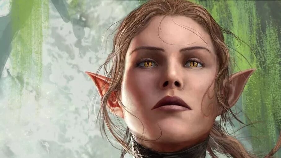 Divinity кассандра. Divinity кассандра