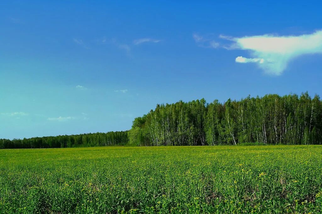 Простор п п. Тамбовские просторы. просторы балашихи. владимирские просторы.