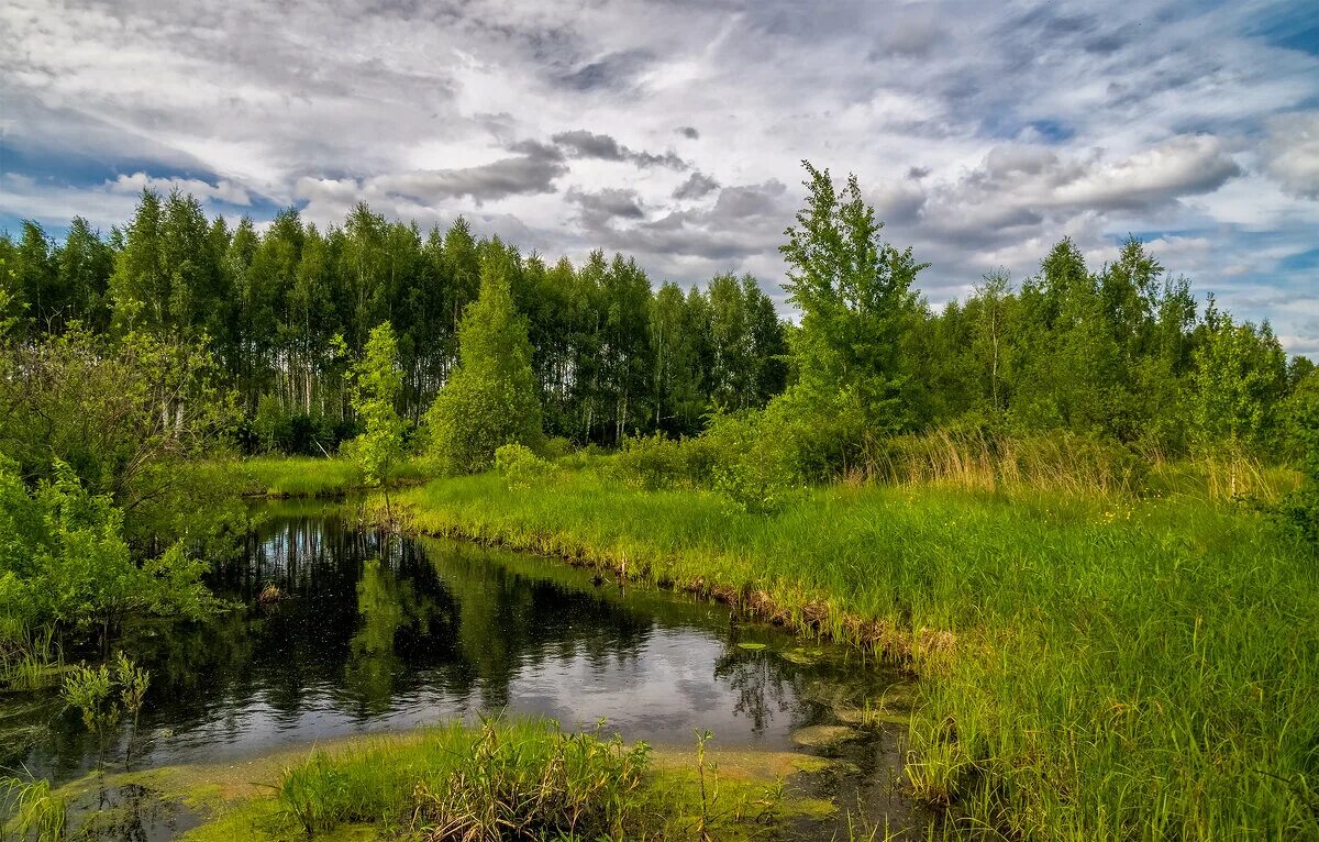 Фото подмосковья сейчас. Бушары 2 подмосковье. Лето в подмосковье. Фото подмосковья сейчас. Горы природы в подмосковья.