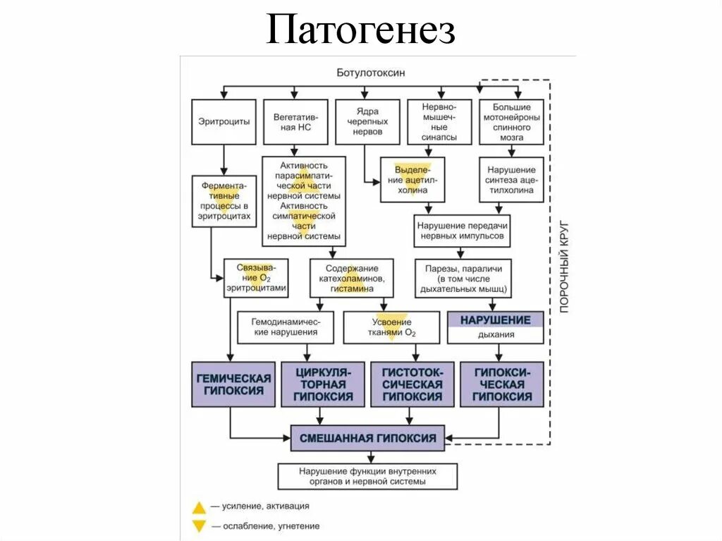 Ботулотоксин симптомы