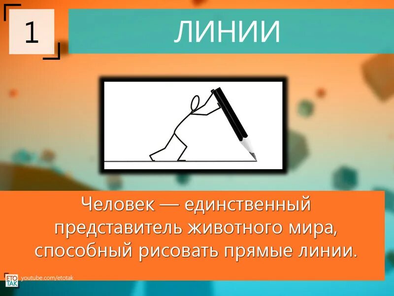 Краткие факты о человеке. Факты о человеке. 10 Фактов о человеке. Интересные факты о человеке. Необычные факты о человеке.