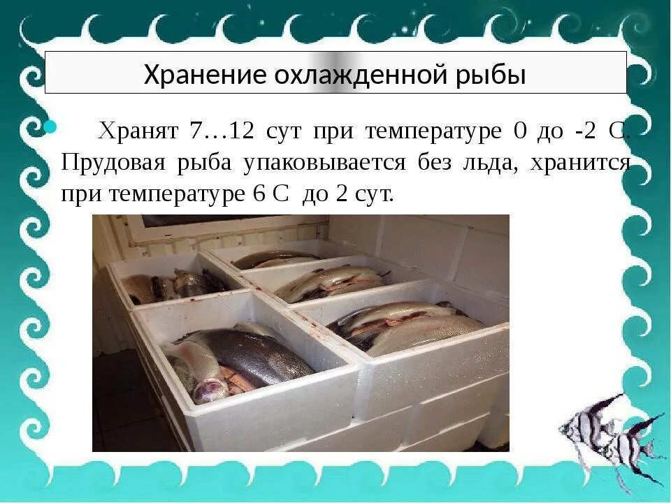 Сколько хранится лед