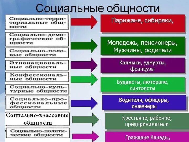 Характеристика основных социальных групп общества. Социальные общности. Социальные общности примеры. Социальная общность это в обществознании. Типы социальных общностей.