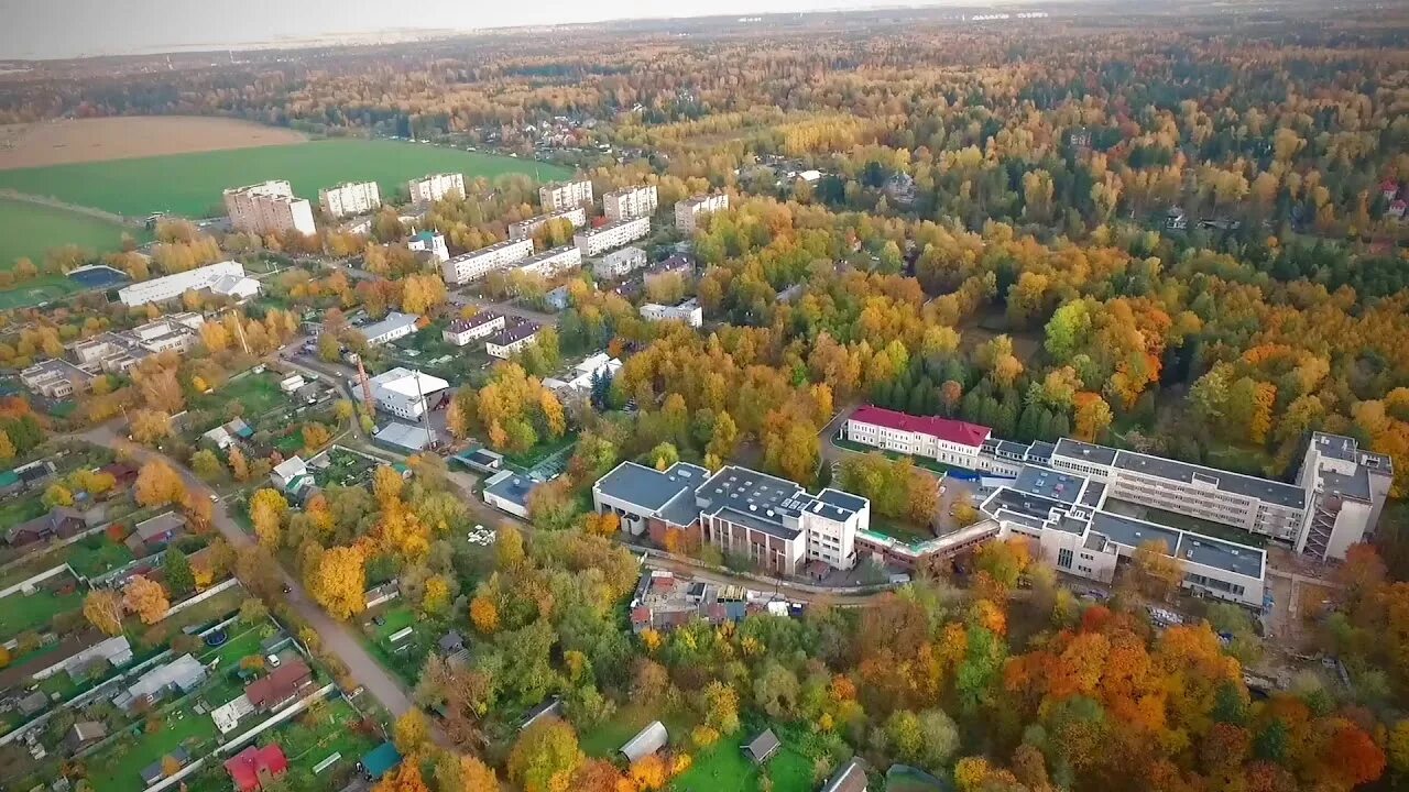 Дома в одинцово московской области. Назарьево (посёлок, Одинцовский район). Посёлок Назарьево Одинцовский. Московская область Одинцовский район поселок Назарьево. Деревня Назарьево Одинцовский район.