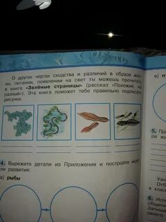 Страница похожий