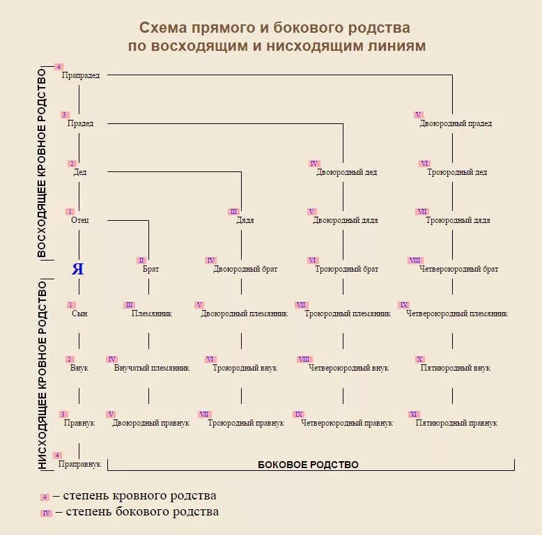 Муж родной тети. Схема родственных связей двоюродных сестер. Генеалогическое дерево ,степени родства. Родственные связи кто кому приходится таблица кем схема. Схема родства двоюродные троюродные.