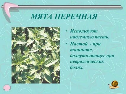 Сминать траву как пишется