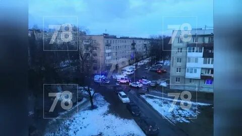 Кировск всеволожск