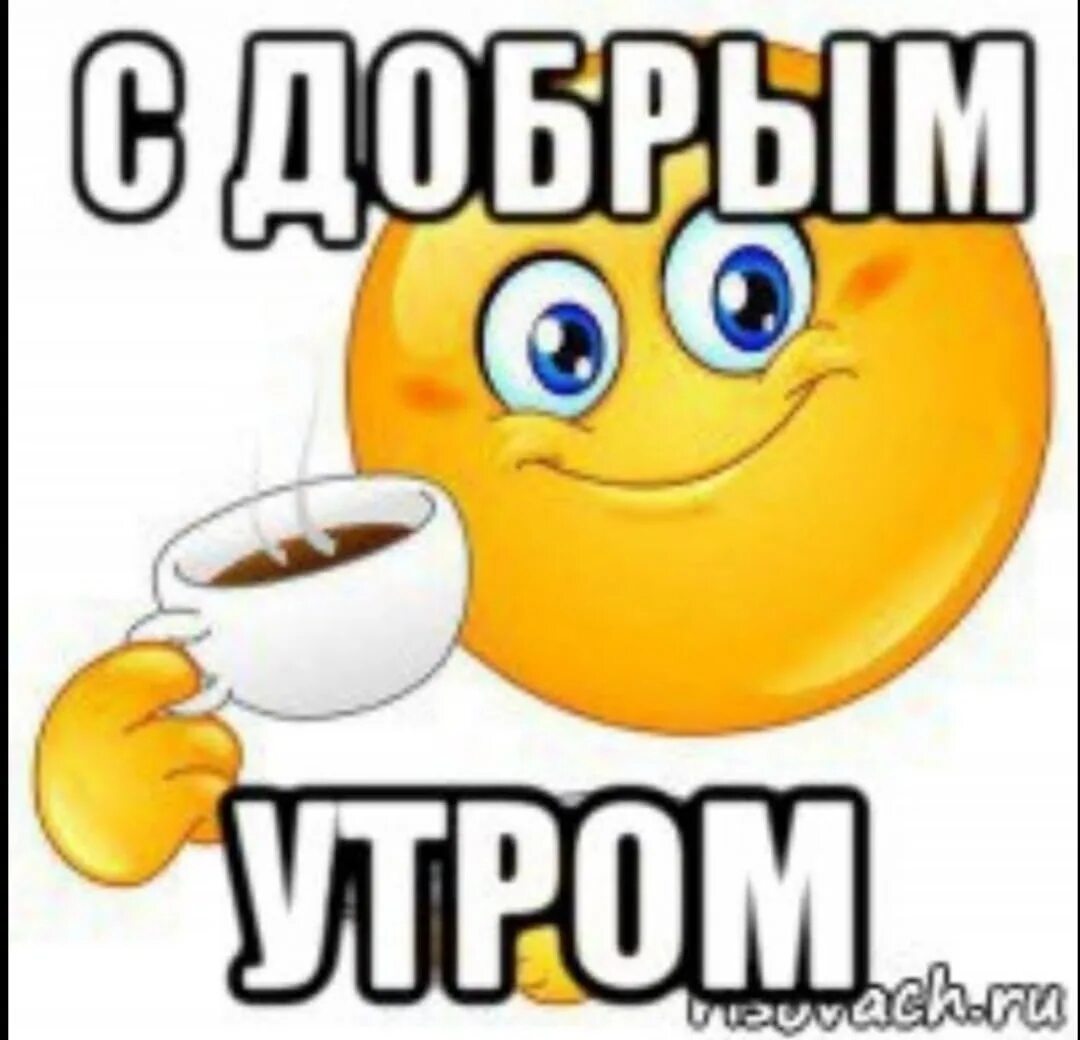 Доброе утро картинки мем. Доброе утро мем. мемы с добрым утром. с добрым утром мем. пикча с добрым утром.