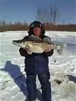 Погода в весьегонске на 3 дня