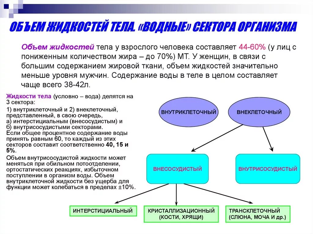 Перераспределение воды в организме. Водные сектора организма. Водные сектора организма физиология. Распределение жидкости в организме по секторам. Водные пространства и секторы организма.