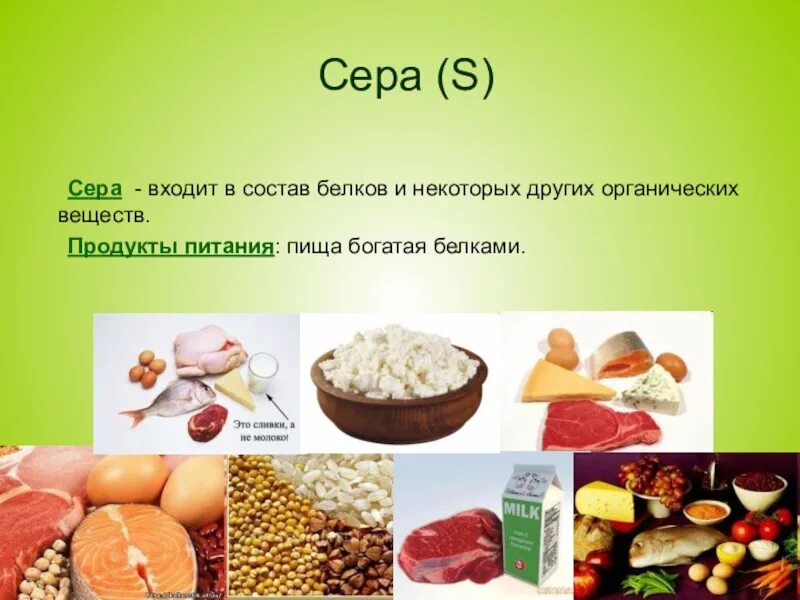 Сера пищевая для человека. Продукты с высоким содержанием азота. Продукты содержащие серу. Продуктусодержащие серу. Продукты богатые серой.