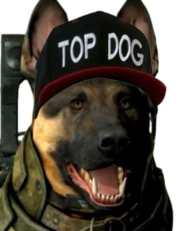 Топ дог. Top dog логотип. Top dog идиома. Top dog 32. Топ дог эмблема.