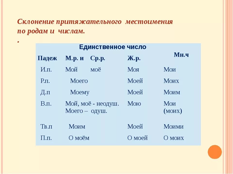 Род местоимений. Склонение притяжательных местоимений. Местоимения женского рода. Местоимения по родам и числам.