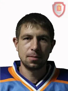 Толстиков н в