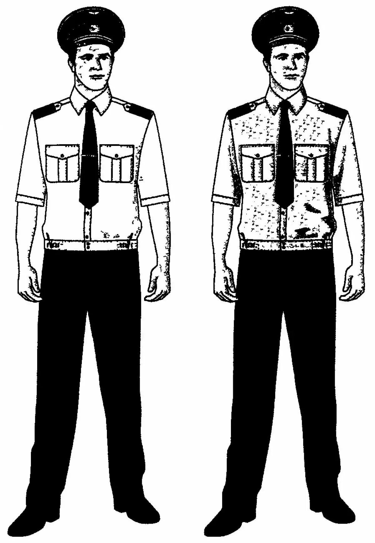 Формой изображения. Формой изображения. Военная форма одежды парадная. Форма спецсвязь форма. Разные профессии.