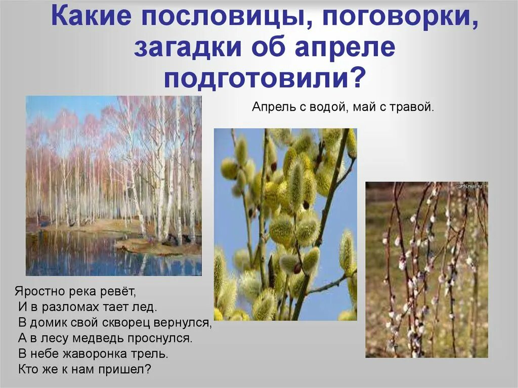 Почему именно апрель. Загадки и пословицы про апрель. Загадки про апрель. Апрель пословицы и поговорки для детей. Загадки про апрель месяц.