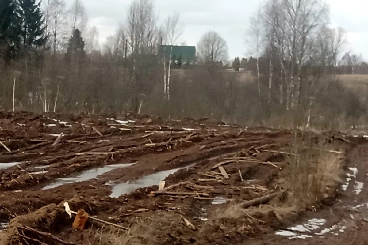 Случай в деревне 2. Деревня гряды Вышний Волочек. Лесовоз фото Вышний Волочек 6 апреля.