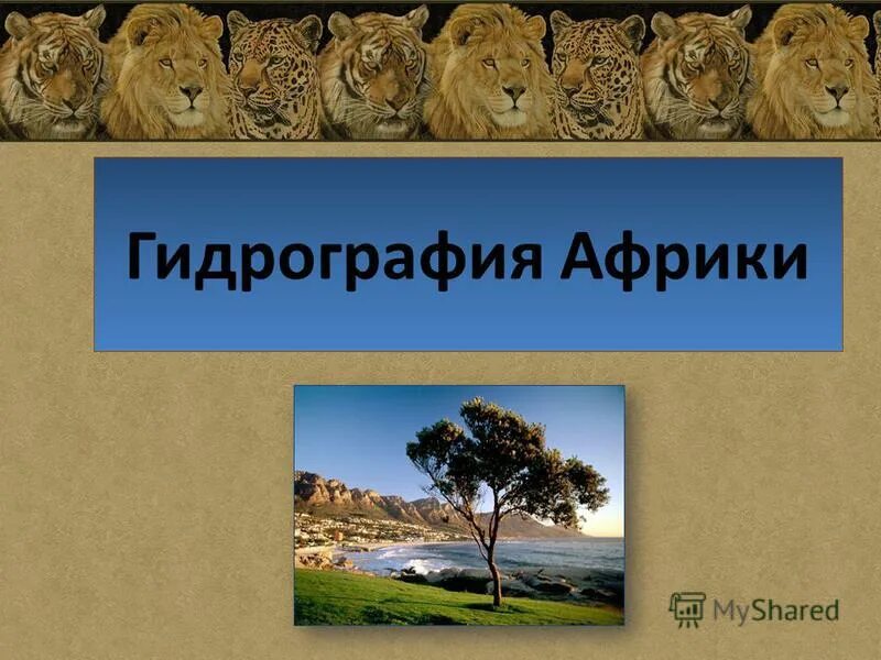 реки африки на карте. гидрография африки 7 класс. гидрографическая сеть африки. гидрография центральной африки. экваториальный климатический пояс африки.