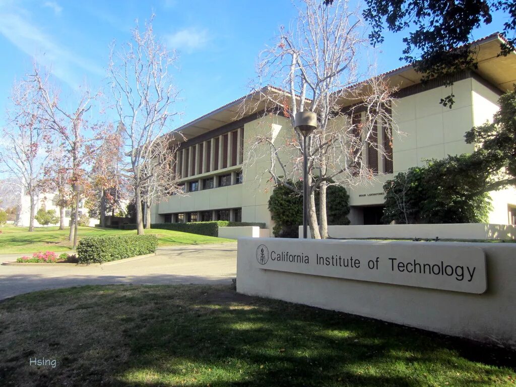 Institute of information