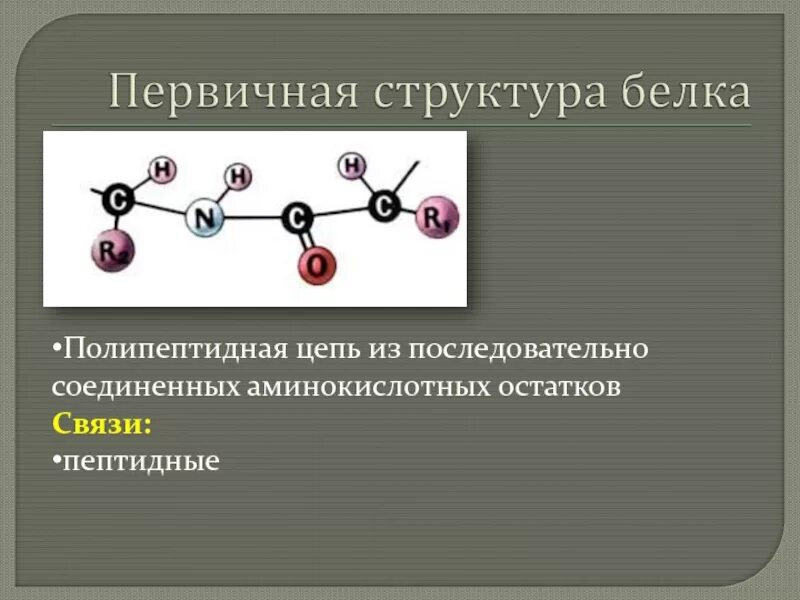 Аминокислоты в полипептидной цепи. Первичная структура белка пептидная связь. первичная структура белка цепочка аминокислот. белок структура цепь. структура белка в полипептидной цепи.