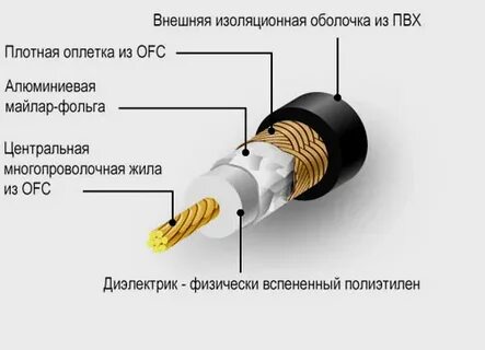 Основная жила