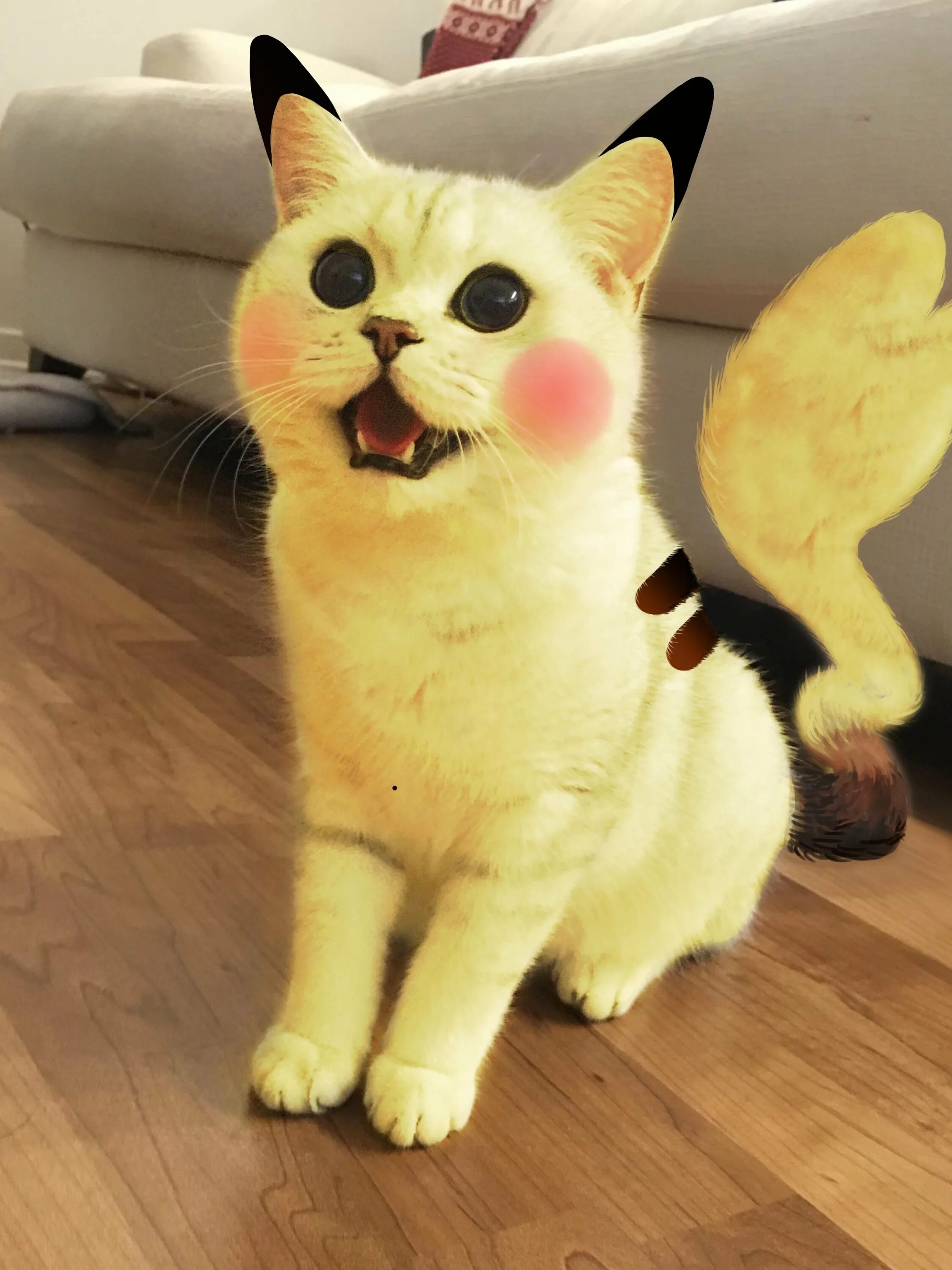 Кот пикачу. Няшные котики. котик в костюме пикачу. няшный котик.