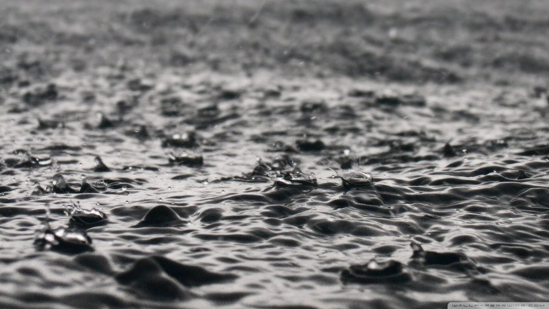 Поверхность моря дождей. Дождь на море. Карпаты (луна). Дедал (лунный кратер). Пасмурное море.