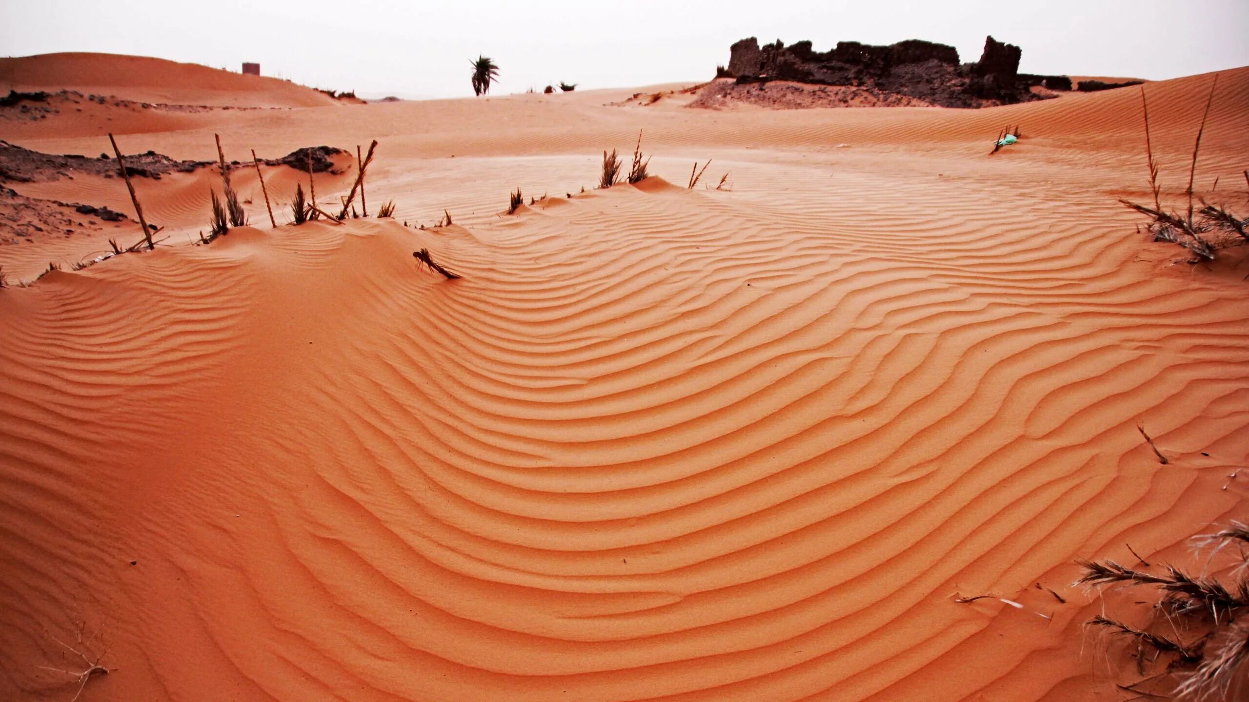 Почему африка пустыня. Пустыня сахара (sahara desert). sahara desert, algeria, африка. пустыня маранджаб. песчаная дюна.