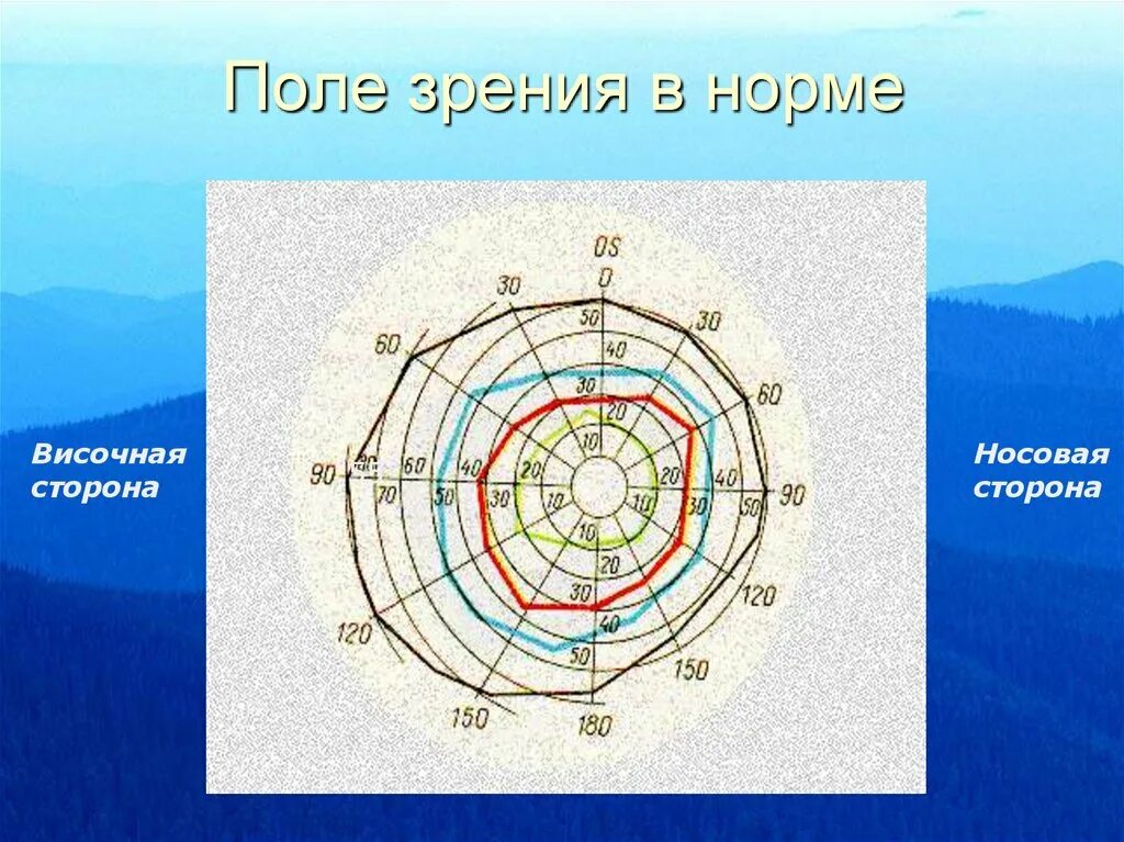 Поле зрения это
