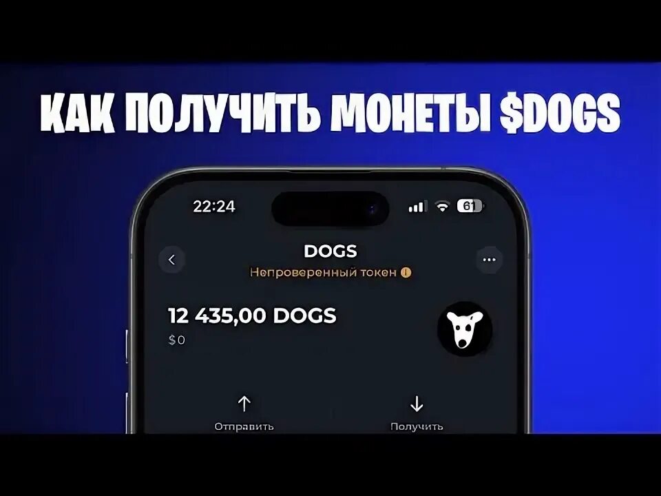 Dogs листинг на кошелек. Dogs листинг на кошелек. Dogs листинг на кошелек. Dogs листинг на кошелек. Dogs листинг на кошелек.