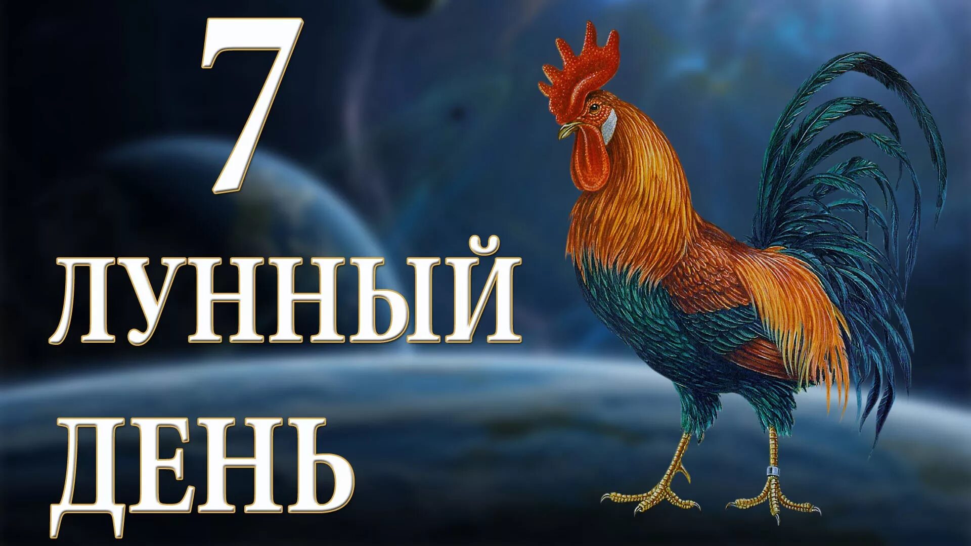 7 день луны