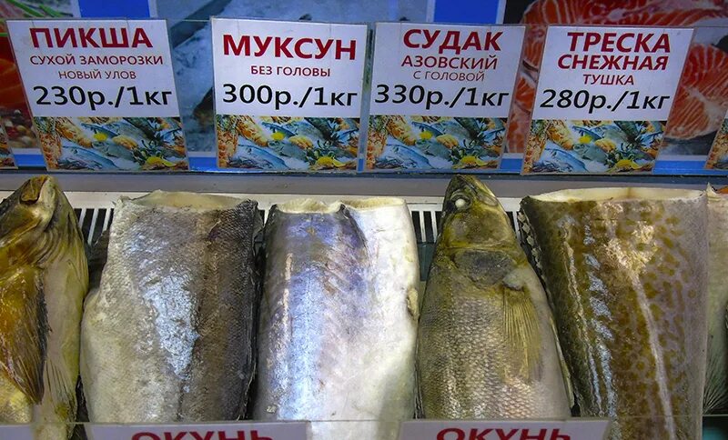Рыба продается на рынке. Рыба свежемороженая названия. Рыба на рынке названия. Рынок рыбы с ценником. Рыба на рынке названия.