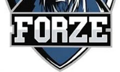 Наклейка forze esports
