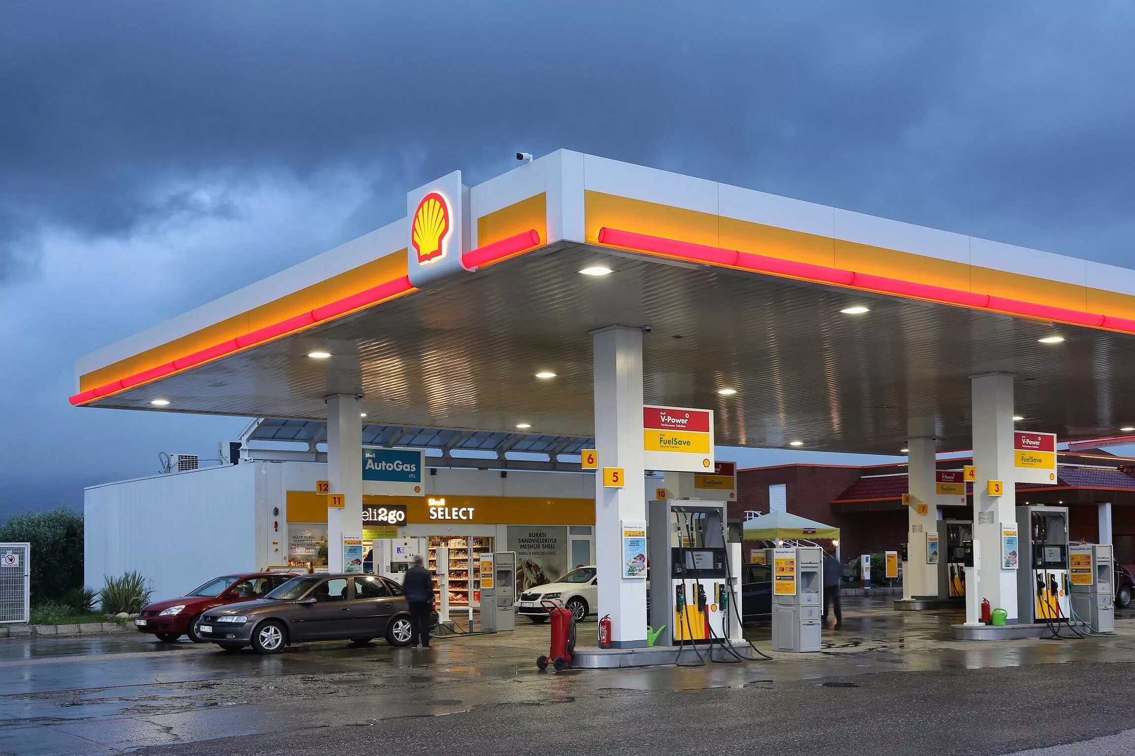 Shell значок. Shell petrol привольная. Seashell турция сиде. Роял датч шелл. Sea shell hotel турция сиде.