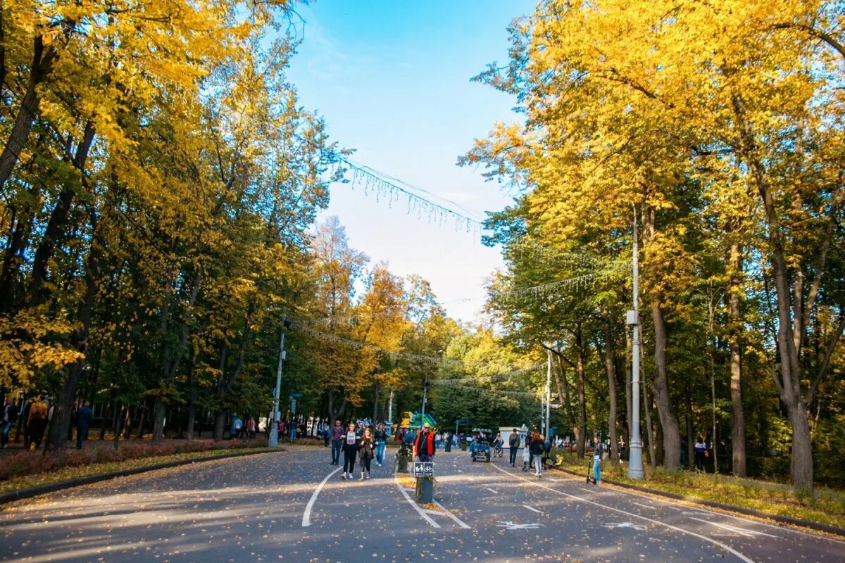 Сокольники. Парк сокольники осенью. левитан аллея в сокольниках. район сокольники парк. парк сокольники москва осень.
