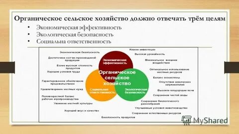 Каким должно быть хозяйство